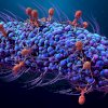 Bacteriophage Therapy in Georgia  Targeted care for difficult bacterial infections