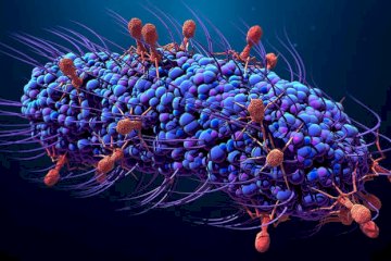 Bacteriophage Therapy in Georgia  Targeted care for difficult bacterial infections